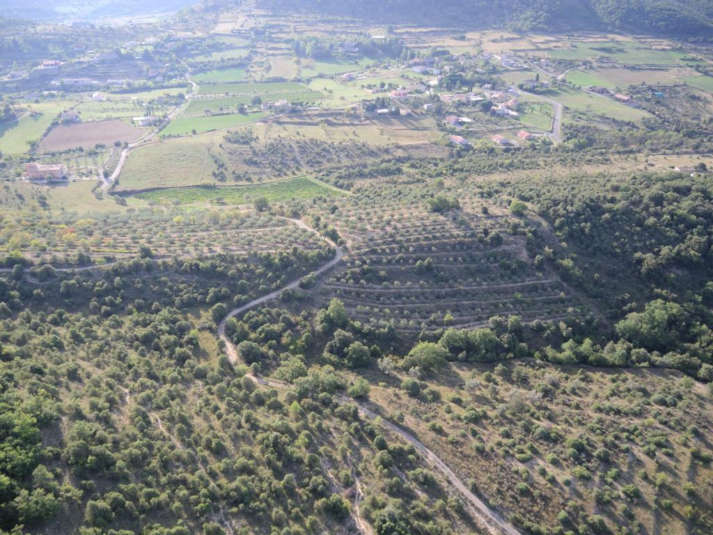 Pontet-Fronzele Agrotourisme Ecologique, Maison D'Hotes & Spa Lagorce  Buitenkant foto