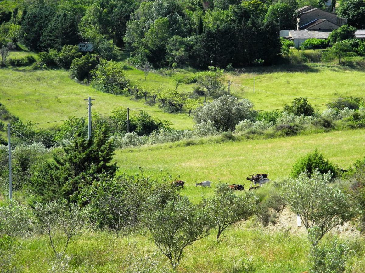 Pontet-Fronzele Agrotourisme Ecologique, Maison D'Hotes & Spa Lagorce  Buitenkant foto
